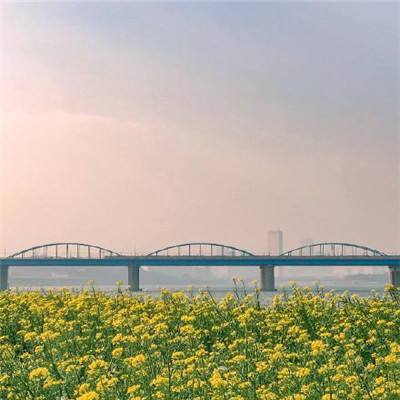 不燃不爆、零污染 新型储能项目落地杨浦滨江